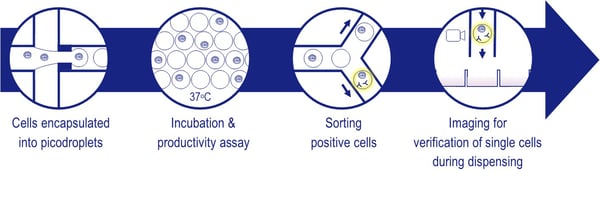 19.8.28_workflow graphic