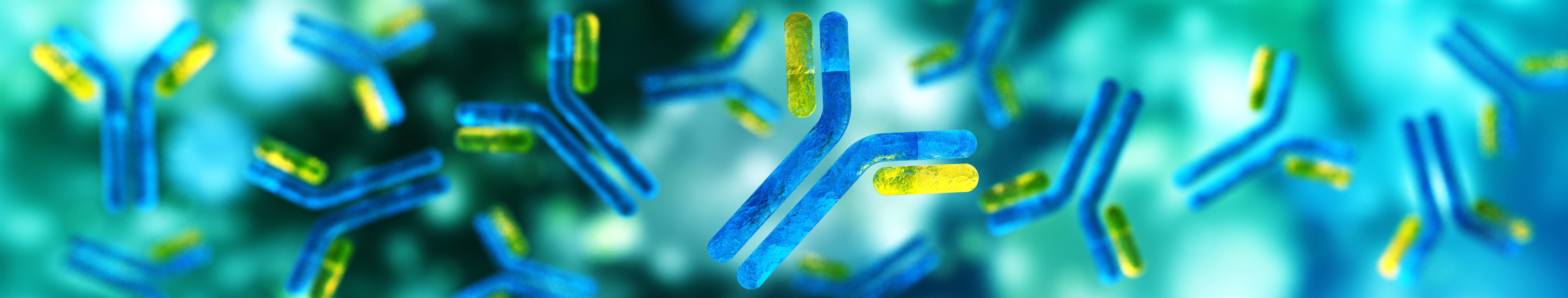 AdobeStock_216409904