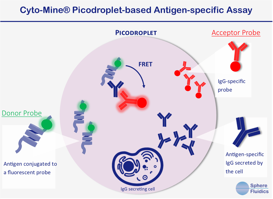 Assay Graphic - Antigen Specifc 2019