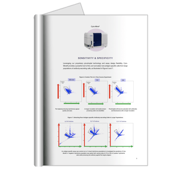 DTR eShot eBook Blank