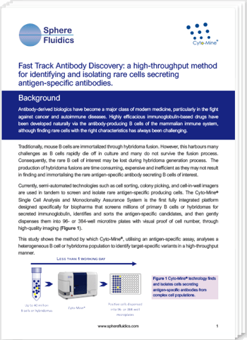 Fast track antibody