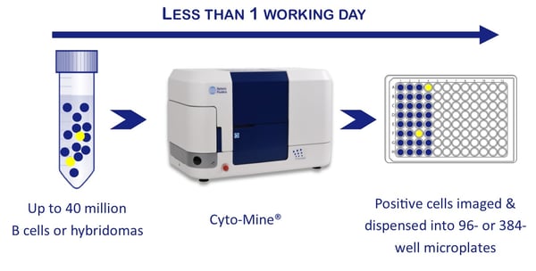 Less than 1 working day Ab